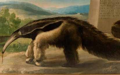 ¿Un Goya en el Museo de Ciencias Naturales?. El País