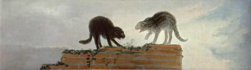 Dos gatos riñendo sobre una pared