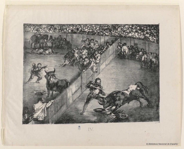 Bullfight in a divided ring