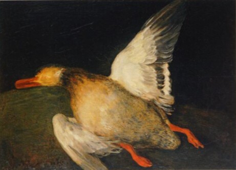 Pato muerto