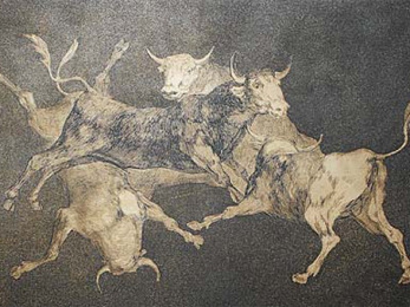 El Louvre exhibe sus cobres de Goya. Heraldo de Aragón