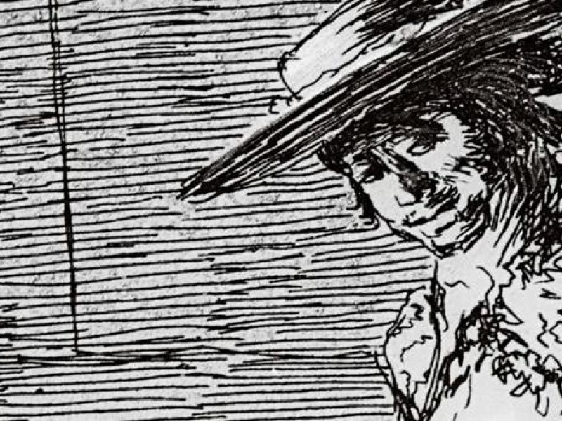 Salen a la luz negativos inéditos sobre la Tauromaquia de Goya